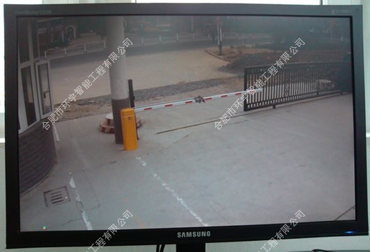 1733376987841787.jpg 3.jpg